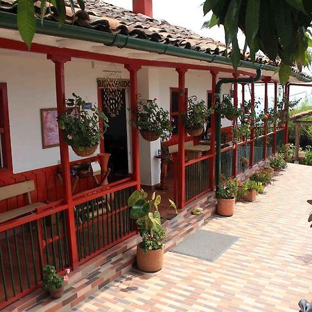 Eco Lodge La Juanita La Linda Zewnętrze zdjęcie