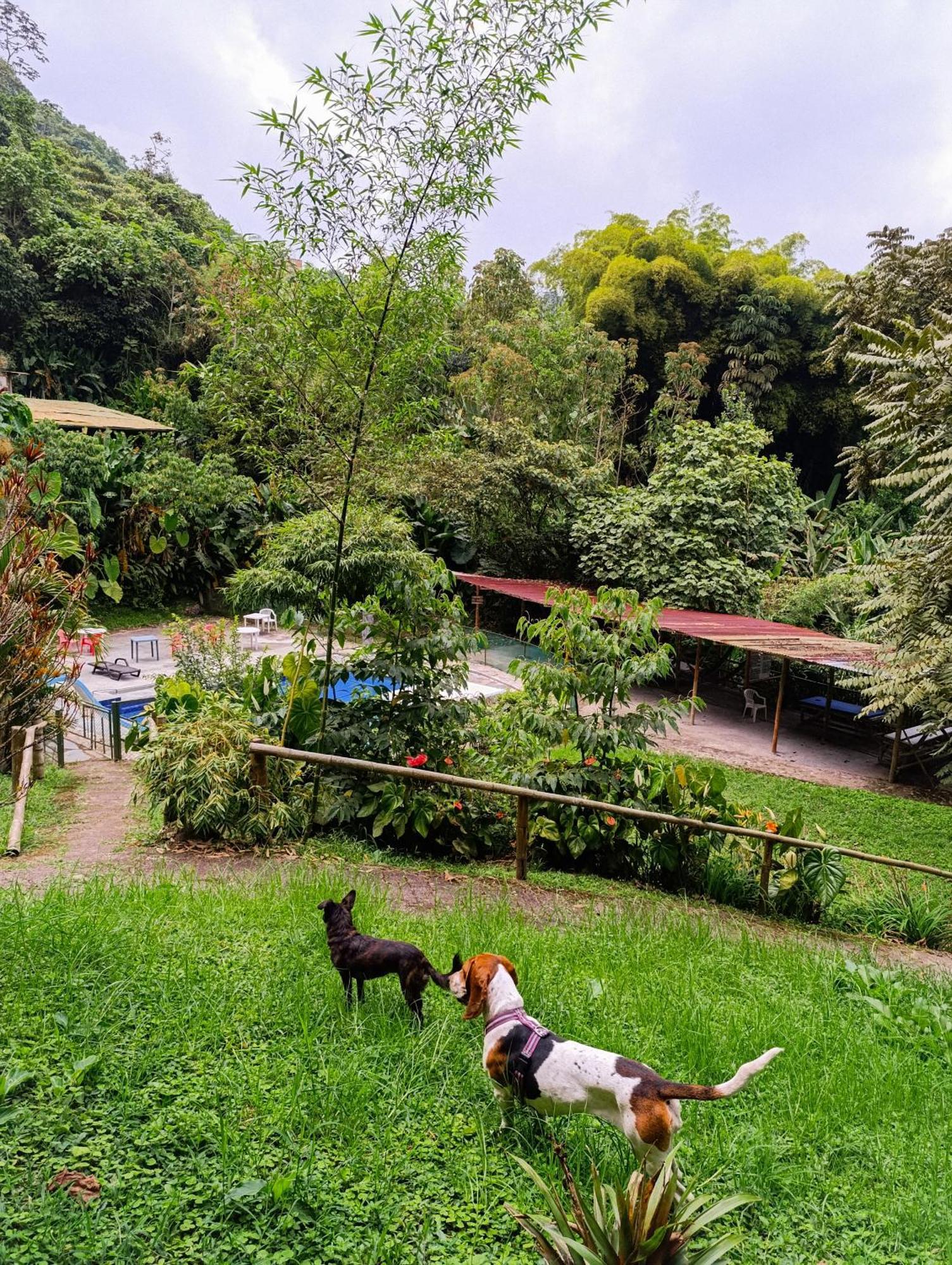 Eco Lodge La Juanita La Linda Zewnętrze zdjęcie